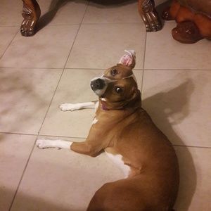 Meet your Posher, Karen